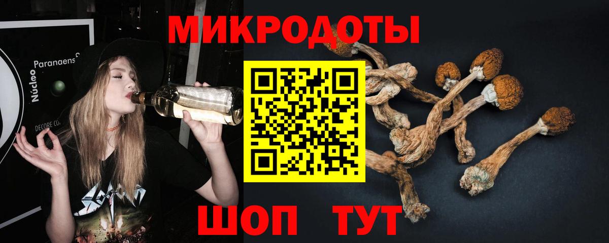 Псилоцибиновые грибы мухоморы Шатура