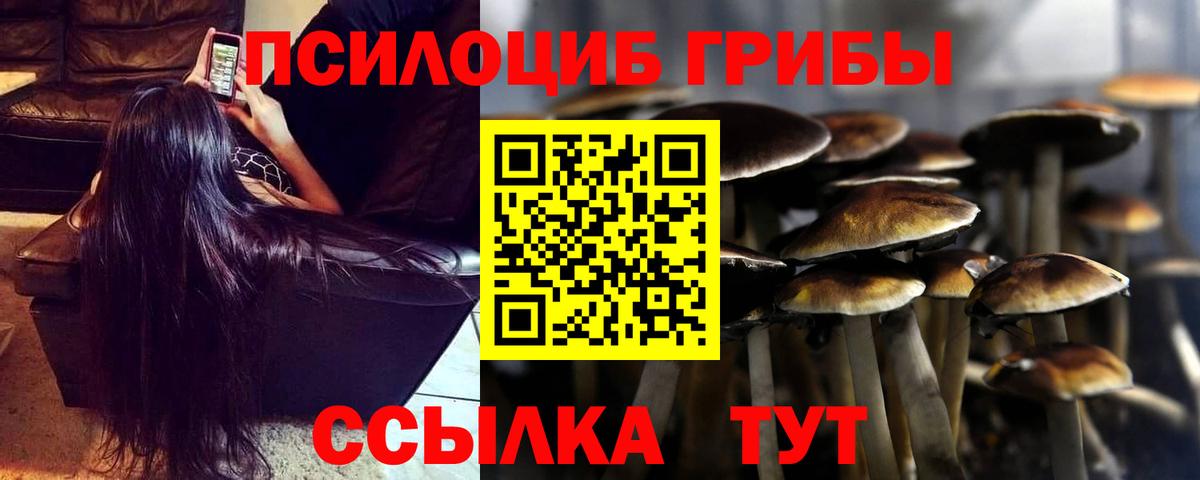 Шатура  Галлюциногенные грибы Psilocybine cubensis  Вход с VPN 